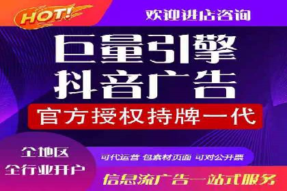 百度竞价代运营成功案例解析